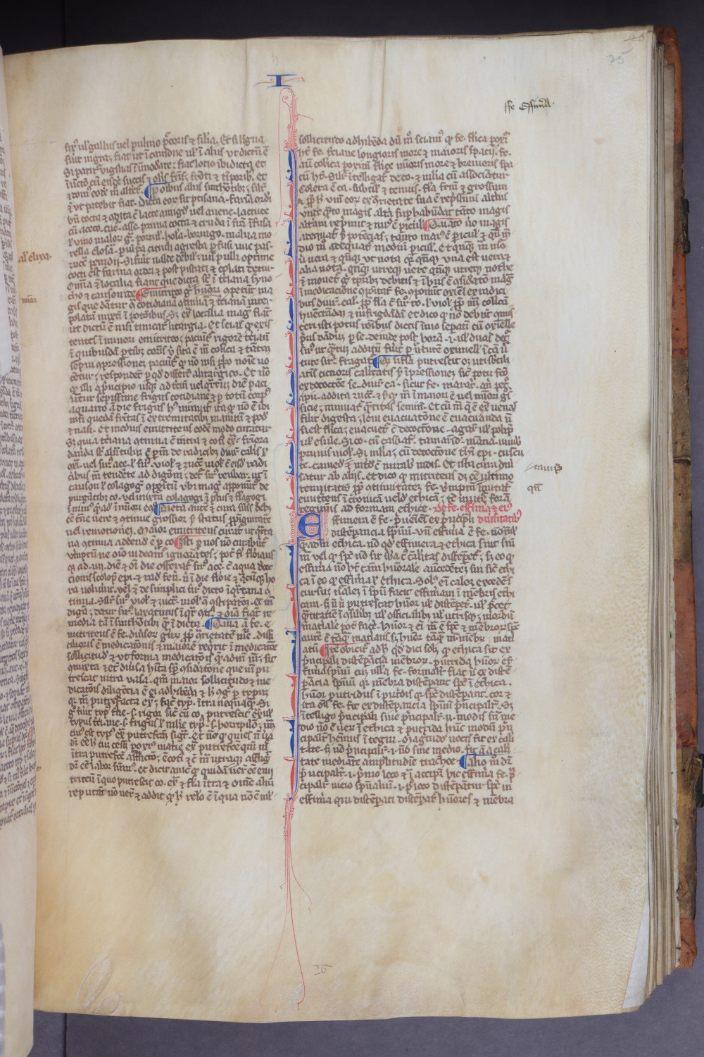 Folio 25 recto